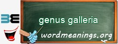 WordMeaning blackboard for genus galleria